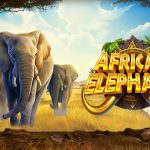 Dapatkan Link Cnnslot Bonus Asli African Elephant x1000!