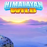 Ruby8000 Saat Sunyi Berubah Beringas Himalayan Wild