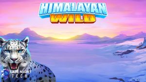Ruby8000 Saat Sunyi Berubah Beringas Himalayan Wild