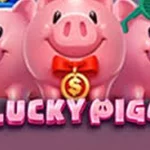 3 Lucky Piggy Emang Paling Oke Buat Iseng
