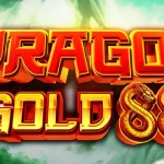 Dragon Gold 88 Lu Lupa Waktu Tidur Malam
