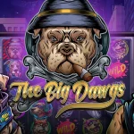 The Big Dawgs 6 Collect Menguntungkan Asal Bijak